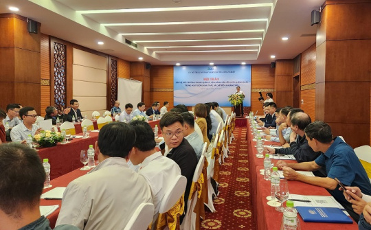 Tăng cường năng lực về bảo vệ môi trường trong quản lý, vận hành hồ chứa quặng đuôi