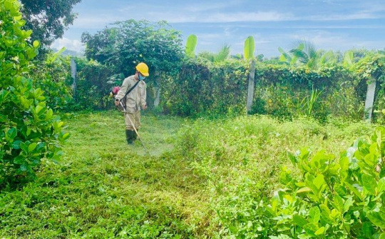 Thủy điện An Khê - Ka Nak luôn gắn sản xuất với bảo vệ môi trường