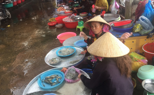 Tiểu thương miền Tây “treo” sạp chờ cá linh