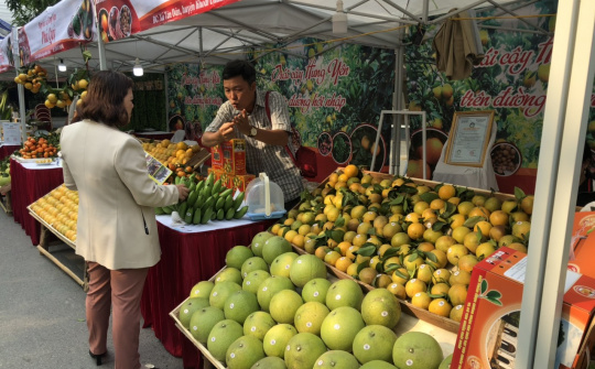 Đang diễn ra Phiên chợ cam Hưng Yên năm 2019