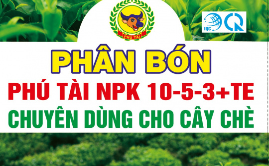 Phân bón Phú Tài nỗ lực tìm những công thức phân bón mới cho cây chè