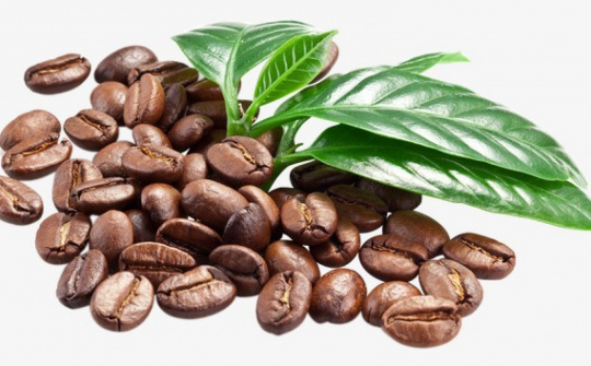 Giá cà phê hôm nay 16/11: Lên mức 36.000 đồng/kg