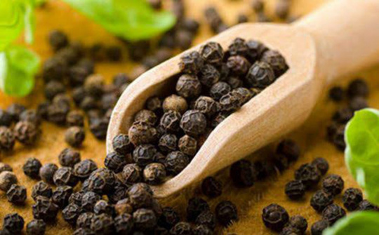 Chưng cất tinh dầu tiêu đen bằng phương pháp lôi cuốn hơi nước