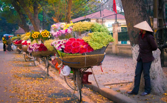 Bán hàng rong tại Thành phố Trà Vinh: Vài nét đặc trưng về nhóm kinh tế - xã hội phi chính thức