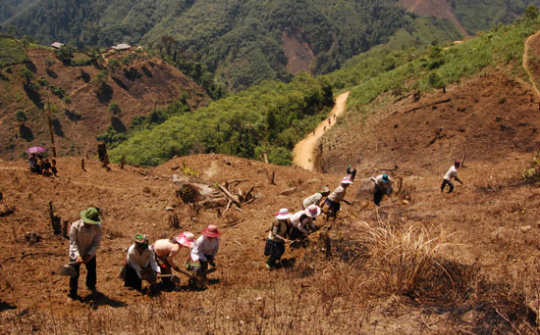 Công tác giảm nghèo ở huyện Yên Mô, tỉnh Ninh Bình: Thực trạng và giải pháp
