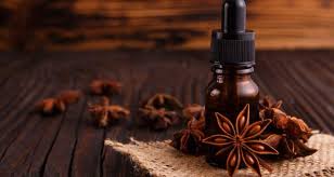 Ly trích tinh dầu từ quả đại hồi khô (Illicium verum)