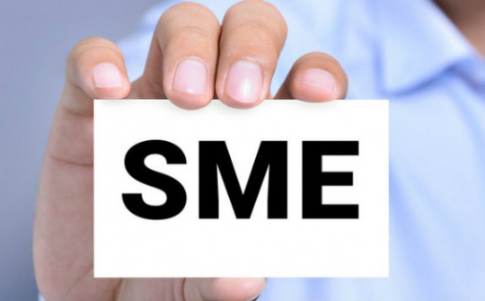 Khó khăn của doanh nghiệp và giải pháp hỗ trợ tài chính cho doanh nghiệp Việt Nam ảnh hưởng bởi đại dịch Covid-19