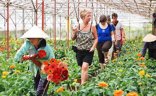 Nâng cao khả năng tham gia mô hình du lịch cộng đồng của hộ dân tại tỉnh Trà Vinh