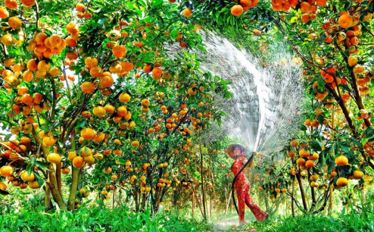 Phát huy lợi thế cạnh tranh điểm đến du lịch tỉnh Tiền Giang