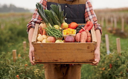 Hành vi mua rau an toàn của người dân thành thị trong điều kiện thông tin bất đối xứng: Trường hợp địa bàn Hà Nội