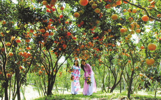 Các điều kiện phát triển du lịch sinh thái miệt vườn tại thành phố Cần Thơ