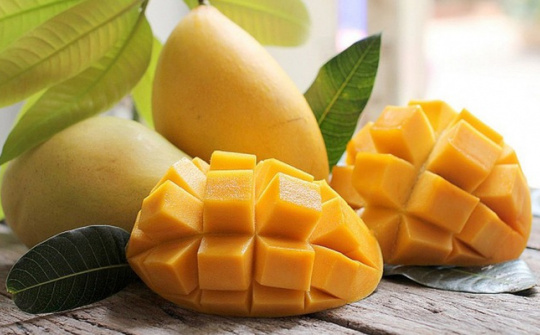 Sản xuất và tiêu thụ xoài tại tỉnh An Giang: Thực trạng và giải pháp