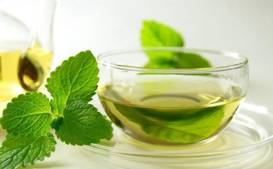 Khảo sát quá trình chế biến trà túi lọc bạc hà (Mentha piperita L.)