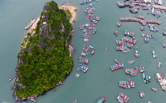 Vai trò của chính quyền địa phương đối với đơn vị hành chính - kinh tế đặc biệt