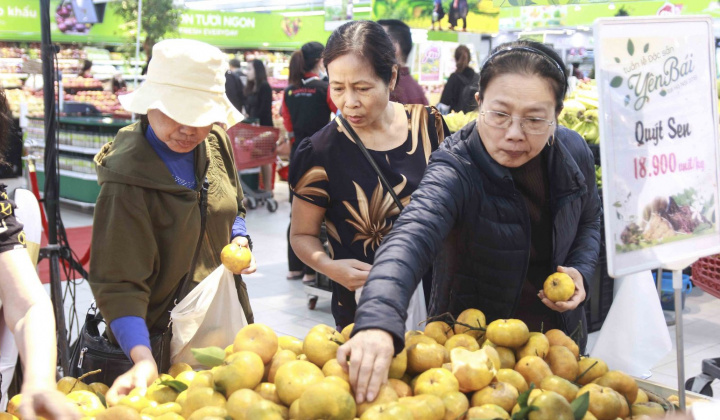 Nhu cầu tiêu dùng Tết lớn, CPI tháng 2/2019 tăng 0,8%