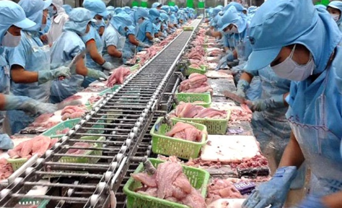 Phí thẩm định nguồn gốc nguyên liệu thủy sản tối đa 700.000 đồng/lần