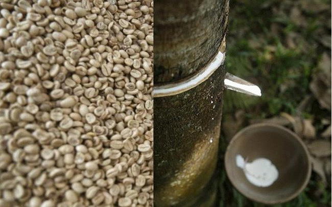 Diễn biến các mặt hàng nông sản và mặt hàng cao su trong ngày 5/10