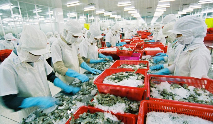Tổng quan tình hình xuất khẩu tôm của Việt Nam vào thị trường Nhật Bản