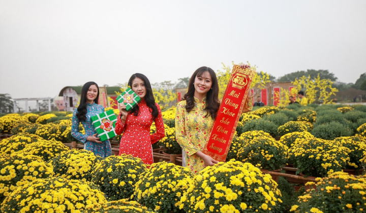 Giới trẻ đua nhau check-in vườn hoa cúc mâm xôi tuyệt đẹp ngay giữa Thủ đô