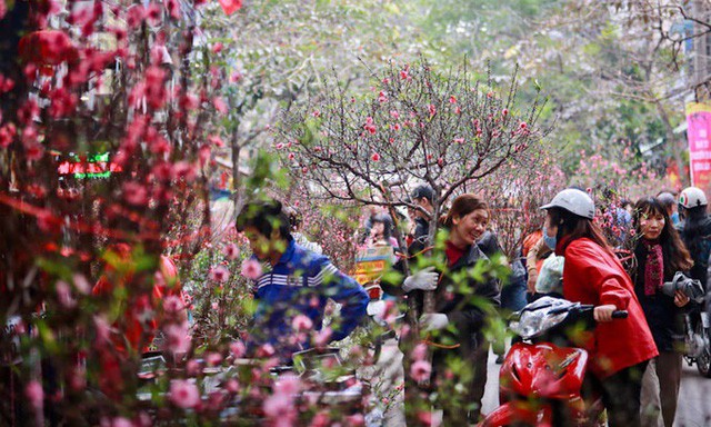 Thời tiết dịp Tết Nguyên đán 2019: Trời mưa phùn, không quá lạnh