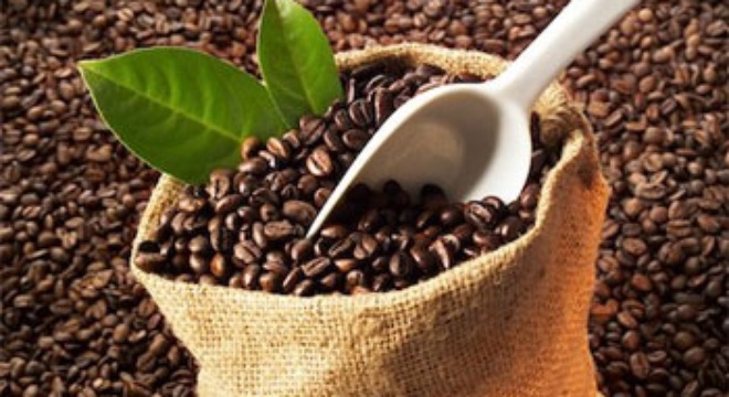 Xuất khẩu cà phê cán mốc 3,5 tỷ USD trong năm 2018