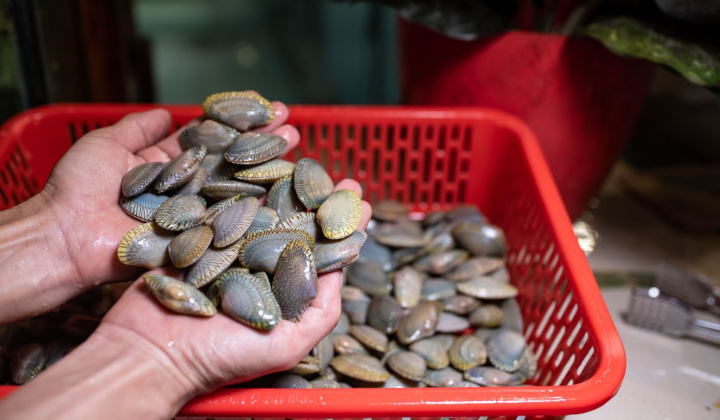 Thêm 3 loại thủy sản Việt Nam rộng đường vào Trung Quốc