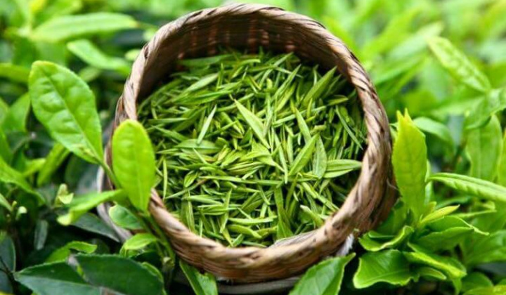 Việt Nam là nguồn cung cấp chè lớn nhất cho thị trường Đài Loan