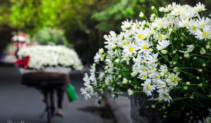 Thời tiết 27/10: Thời tiết đầu đông quá đẹp để đi "săn ảnh" đẹp - độc - lạ