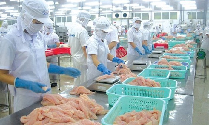 Dự báo xuất khẩu cá tra sang Mexico khó tăng trong quý cuối năm