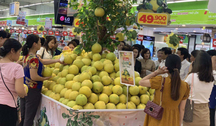 Lần đầu đến Thủ đô, bưởi Phúc Trạch được "săn đón" tại chuỗi siêu thị Big C