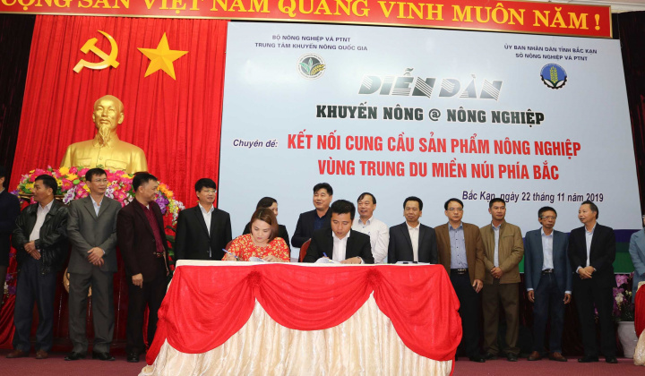 Ký hợp đồng hợp tác, Big C tạo sinh kế cho hàng trăm nông dân đồng bào thiểu số tỉnh Bắc Kạn