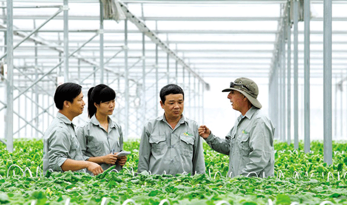 Sẽ xin ý kiến xây dựng luật riêng về kinh tế hợp tác trong nông nghiệp