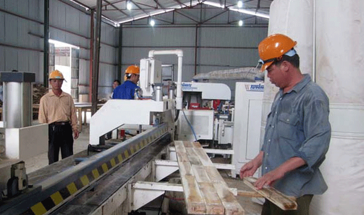 Thủ tướng yêu cầu xây dựng hệ thống cấp phép FLEGT điện tử