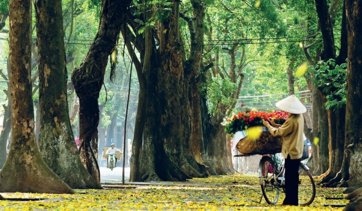 Thời tiết 4/11: Hà Nội nắng nhẹ ngày đầu tuần