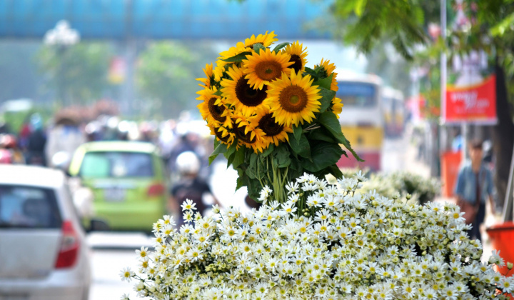 Thời tiết 16/10: Đầu tuần miền Bắc nắng đẹp, nhiệt độ tăng