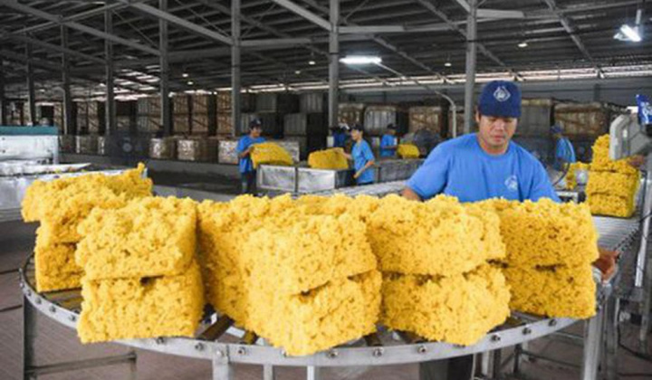 11 tháng, xuất khẩu cao su mang về hơn 2 tỷ USD