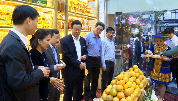 Cam sành Hà Giang "ra mắt" người dân Thủ đô