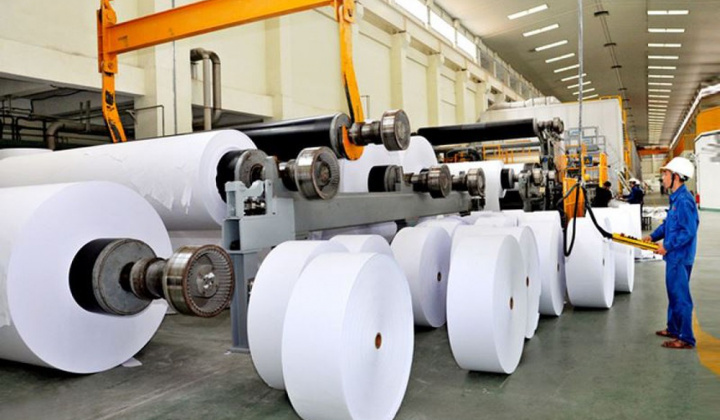 Ngành Giấy nên được ưu tiên phát triển trong nền kinh tế tuần hoàn