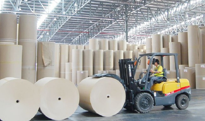 Ngành Giấy, cơ hội nào cho phát triển ?