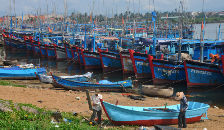 Cho vay đóng tàu đánh bắt xa bờ: Nợ xấu, nợ quá hạn gần 4 nghìn tỷ đồng, chiếm gần 40%