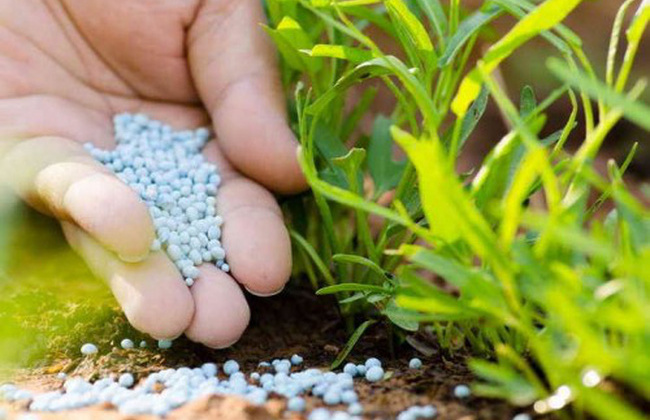 Hướng dẫn mới về phân loại phân bón