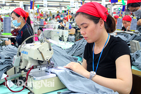 6 nghị định có hiệu lực từ ngày 1/1/2020