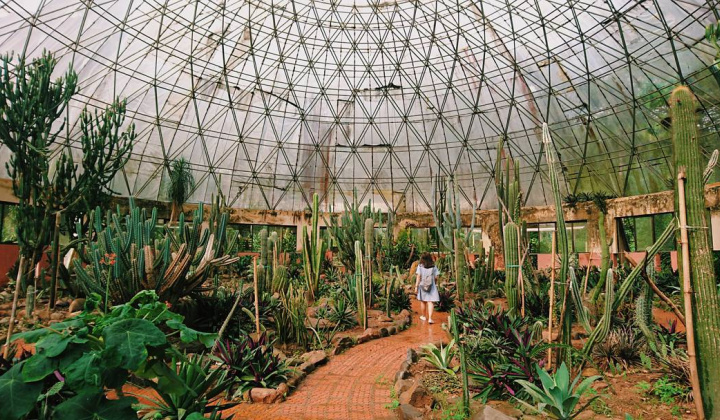 Những điểm du lịch lý tưởng ngày Tết Dương lịch