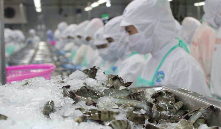 Nông thủy sản Việt trước cảnh báo về phòng vệ thương mại tại EU