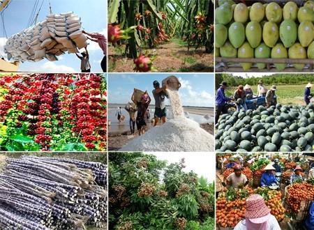 Điện Biên: Khai thác các tiềm năng, thế mạnh với “Mỗi xã một sản phẩm”