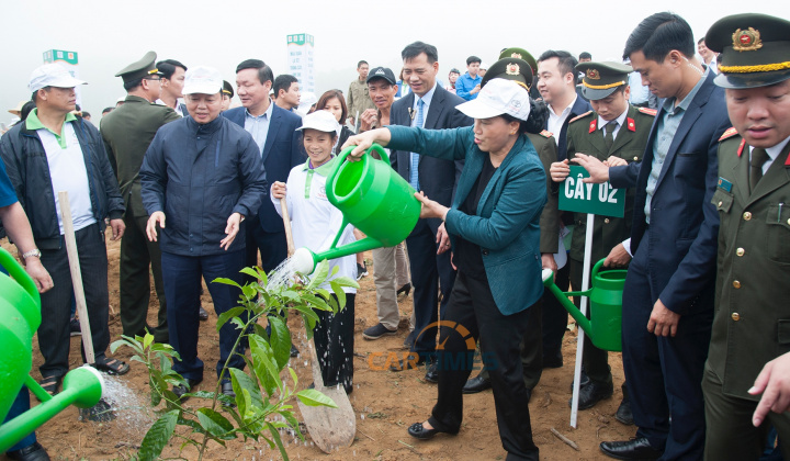 Toyota Việt Nam đồng hành cùng Lễ phát động Tết trồng cây Xuân Kỷ Hợi 2019