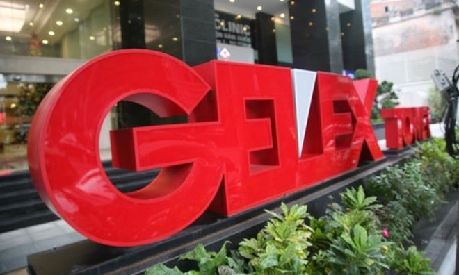 GELEX mua thành công hơn 3,6 triệu cổ phần của Chế tạo Điện Cơ Hà Nội