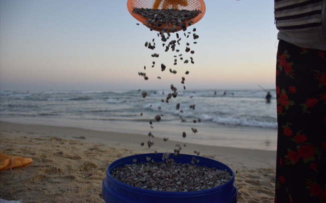 Mùa ốc gạo ở xứ Quảng