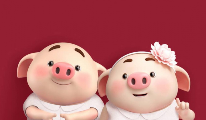 Những phát hiện ngạc nhiên và thú vị về loài heo mà con người ít biết