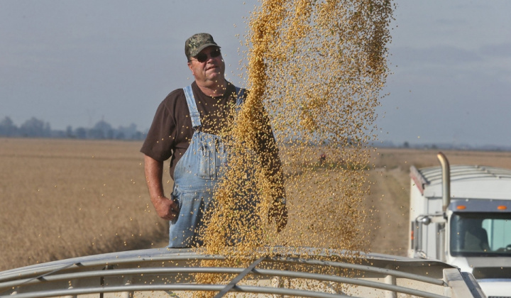 Tổng thống Trump và “cuộc chiến đậu tương”